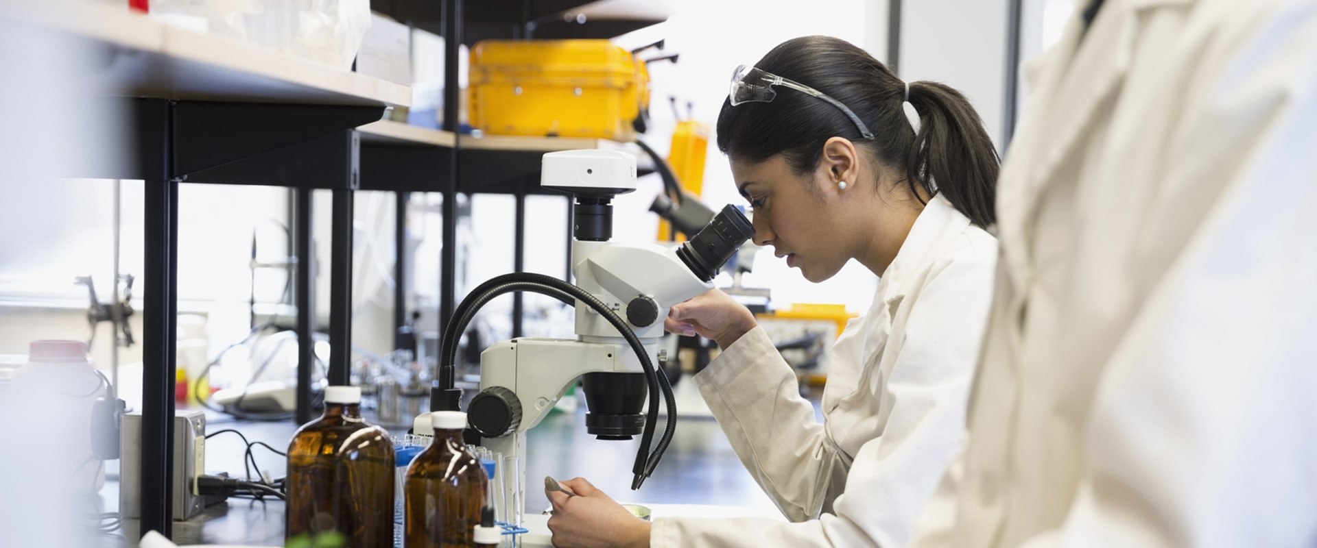 Choosing the Right Chemistry Class for You